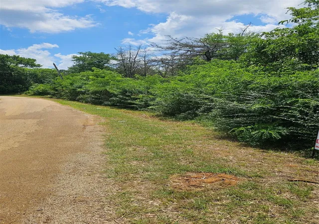 Photo 3 of Land for sale at Tbd Congress St, San Augustine, TX 75972 | MLS# 48763278 | Listing updated on 2026-05-21