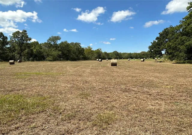 Photo 1 of Land for sale at 0 Fm 1774, Plantersville, TX 77363 | MLS# 21225250 | Listing updated on 2026-08-20