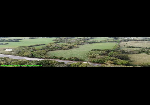 Photo 2 of Land for sale at 0 Fm 1774, Plantersville, TX 77363 | MLS# 21225250 | Listing updated on 2026-08-20