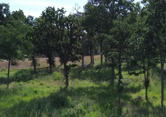 Homes for sale in Jewett, TX | Tbd Lot 30 Pr 5882A, Jewett, TX 75846 | MLS# 5429581