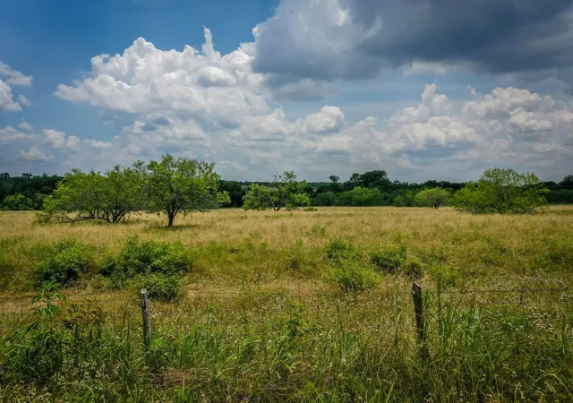 Photo 1 of Land for sale at 000 County Road 447, Waelder, TX 78959 | MLS# 6362601 | Listing updated on 2026-06-07