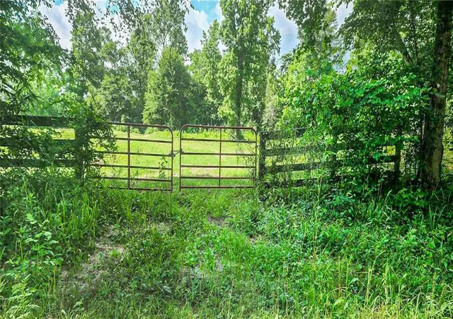 1st image of 000 Tinney Rd, Livingston, TX 77351 | MLS# 40388757