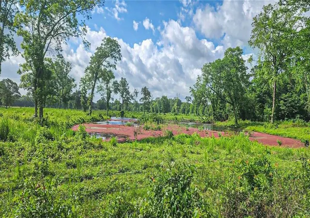 2nd image of 000 Tinney Rd, Livingston, TX 77351 | MLS# 40388757