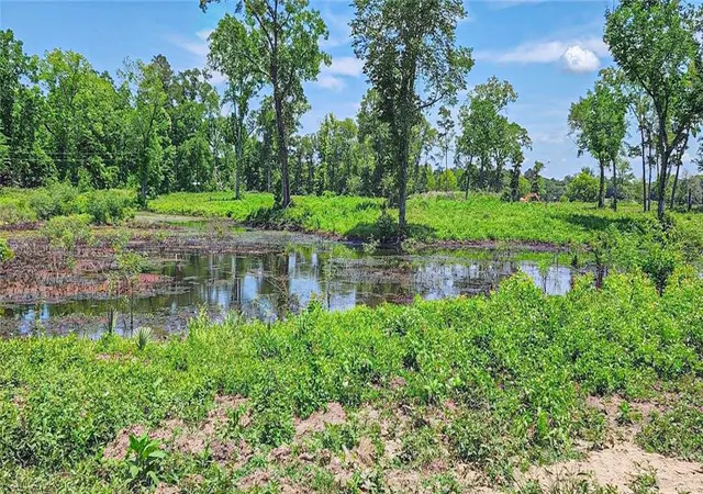 3rd image of 000 Tinney Rd, Livingston, TX 77351 | MLS# 40388757