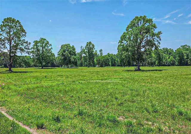 5th image of 000 Tinney Rd, Livingston, TX 77351 | MLS# 40388757