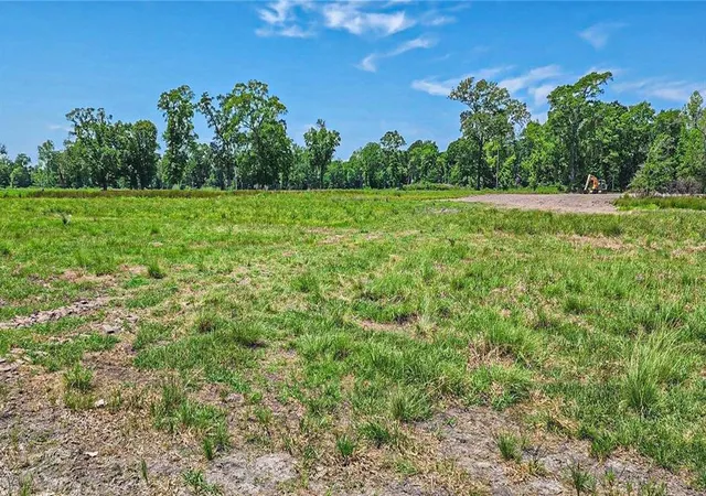 7th image of 000 Tinney Rd, Livingston, TX 77351 | MLS# 40388757
