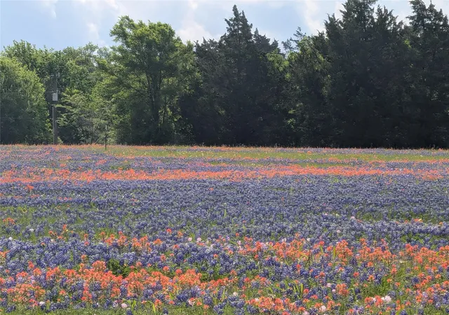 Photo 2 of Land for sale at 0031 Fm 2562 And Cr 218 Rd, Anderson, TX 77830 | MLS# 48854072 | Listing updated on 2026-04-29