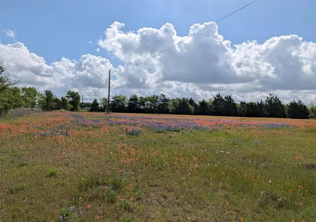 Photo 3 of Land for sale at 0031 Fm 2562 And Cr 218 Rd, Anderson, TX 77830 | MLS# 48854072 | Listing updated on 2026-04-29