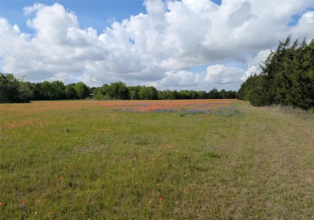 Photo 4 of Land for sale at 0031 Fm 2562 And Cr 218 Rd, Anderson, TX 77830 | MLS# 48854072 | Listing updated on 2026-04-29