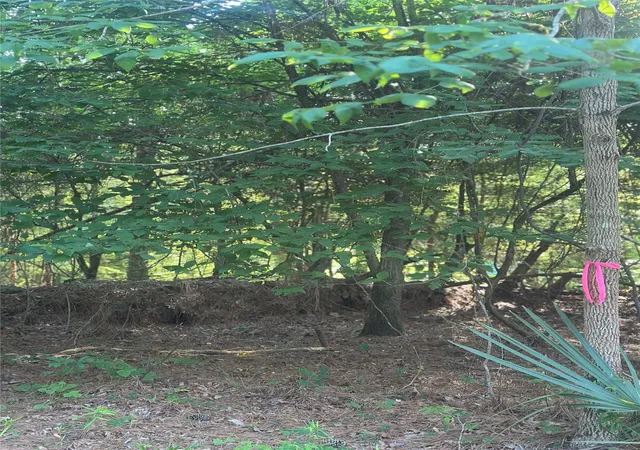 Photo 1 of Land for sale at Tbd Tall, Livingston, TX 77351 | MLS# 65289683 | Listing updated on 2026-06-03