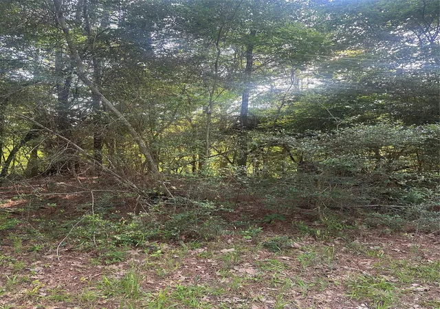 Photo 3 of Land for sale at Tbd Tall, Livingston, TX 77351 | MLS# 65289683 | Listing updated on 2026-06-03