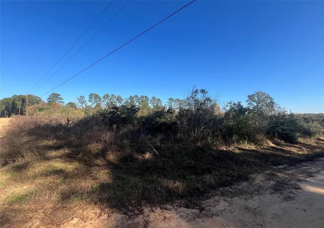 Photo 4 of Land for sale at Tbd Shenandoah Ln, Livingston, TX 77351 | MLS# 60142821 | Listing updated on 2026-09-11