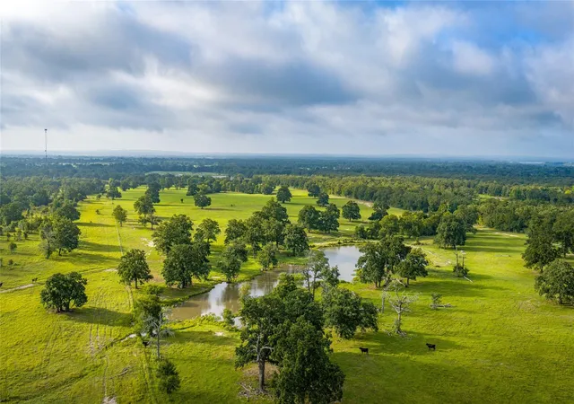 Photo 1 of Land for sale at 1777 Fm 1361, Somerville, TX 77879 | MLS# 47789154 | Listing updated on 2026-08-28