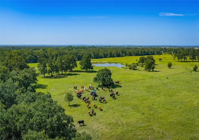 Photo 3 of Land for sale at 1777 Fm-1361, Somerville, TX 77879 | MLS# 47789154 | Listing updated on 2026-08-28
