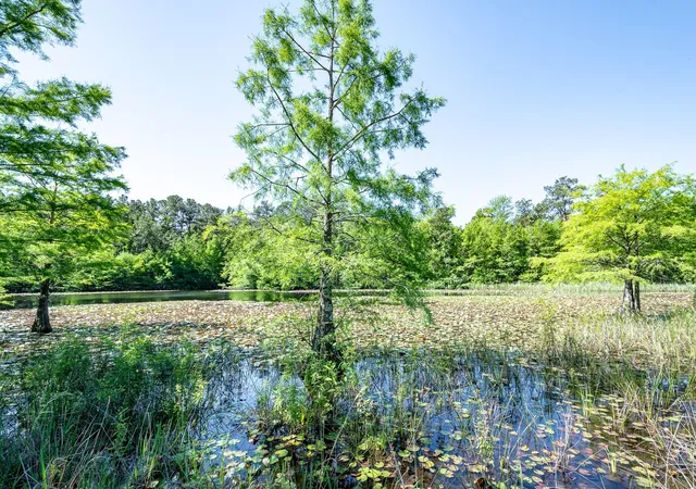 4th image of 1331-A Mccaleb Rd, Montgomery, TX 77316 | MLS# 74056906