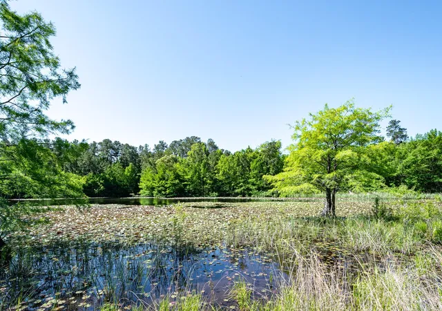 5th image of 1331-A Mccaleb Rd, Montgomery, TX 77316 | MLS# 74056906