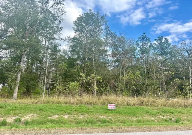Photo 3 of Land for sale at 1153 County Road 6324, Dayton, TX 77535 | MLS# 71761934 | Listing updated on 2026-08-17