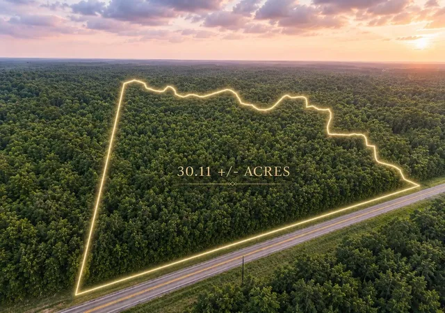 1st image of Tbd Fm 980 N, Point Blank, TX 77364 | MLS# 78459612