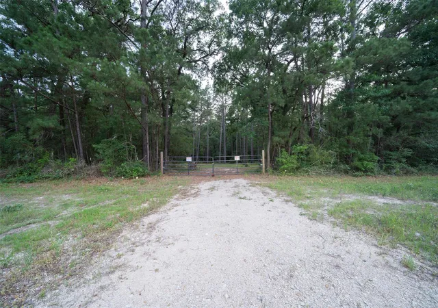 5th image of Tbd Fm 980 N, Point Blank, TX 77364 | MLS# 78459612