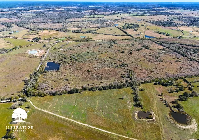 Photo 1 of Land for sale at 13316 Farm To Market Rd 2620 Tract 6, Bedias, TX 77831 | MLS# 82165039 | Listing updated on 2026-08-22