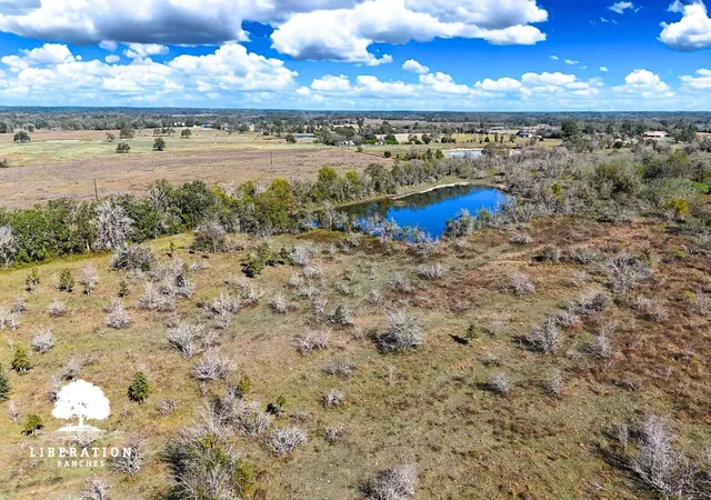 Photo 2 of Land for sale at 13316 Farm To Market Rd 2620 Tract 6, Bedias, TX 77831 | MLS# 82165039 | Listing updated on 2026-08-22