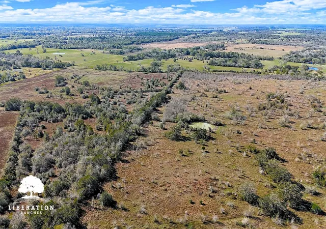 Photo 2 of Land for sale at 13316 Farm To Market Rd 2620 Tract 6, Bedias, TX 77831 | MLS# 82165039 | Listing updated on 2026-08-22