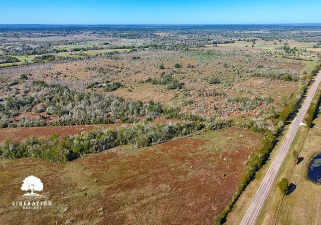 Photo 4 of Land for sale at 13316 Farm To Market Rd 2620 Tract 6, Bedias, TX 77831 | MLS# 82165039 | Listing updated on 2026-08-22