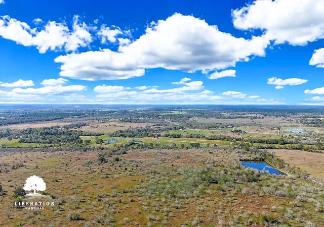 Photo 8 of Land for sale at 13316 Farm To Market Rd 2620 Tract 6, Bedias, TX 77831 | MLS# 82165039 | Listing updated on 2026-08-22
