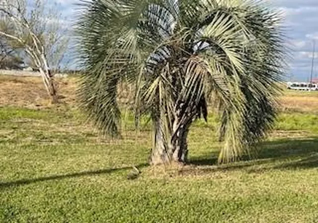 1st image of 0 34th St N St, Texas City, TX 77590 | MLS# 52473679