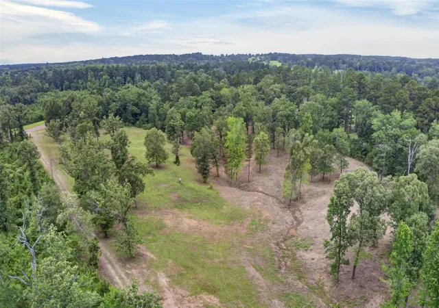 8th image of 9363 Acres Fm 229, Grapeland, TX 75844 | MLS# 74455616