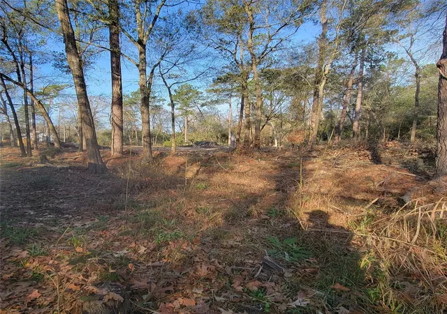 1st image of Tbd Fenham Ln, Humble, TX 77338 | MLS# 15365981