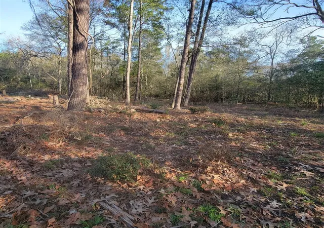 2nd image of Tbd Fenham Ln, Humble, TX 77338 | MLS# 15365981