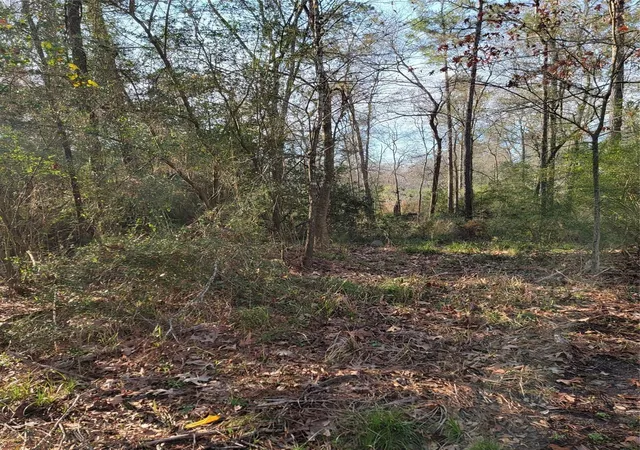 Photo 3 of Land for sale at Tbd Fenham Ln, Humble, TX 77338 | MLS# 15365981 | Listing updated on 2026-06-11