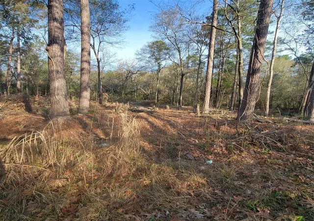 Photo 3 of Land for sale at Tbd Fenham Ln, Humble, TX 77338 | MLS# 15365981 | Listing updated on 2026-06-11