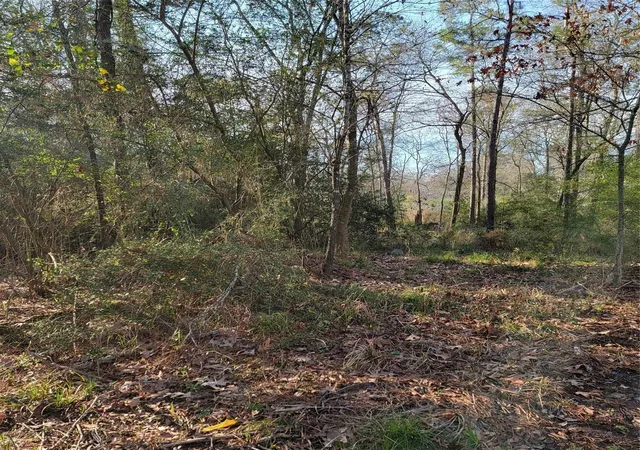 8th image of Tbd Fenham Ln, Humble, TX 77338 | MLS# 15365981