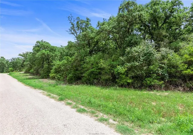 Homes for sale in Franklin, TX | 1311 Azalea Dr, Franklin, TX 77856 | MLS# 19173779