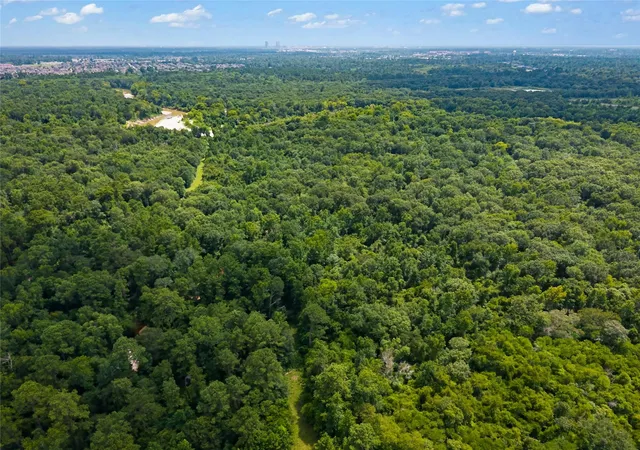 Photo 3 of Land for sale at Lot 7000 07 02200, Conroe, TX 77302 | MLS# 63119382 | Listing updated on 2026-09-09