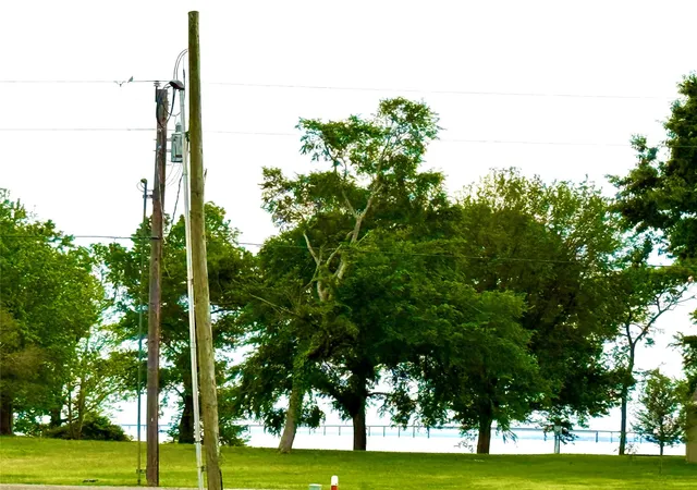 3rd image of Tbd Pearl Ct, Onalaska, TX 77360 | MLS# 31455988
