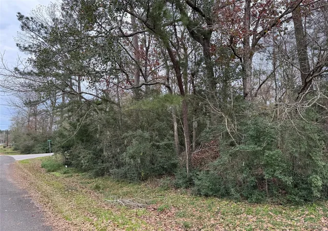Photo 2 of Land for sale at Lot 27 30 Dove Is, Livingston, TX 77351 | MLS# 62059142 | Listing updated on 2026-09-08