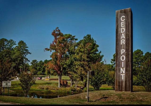 Photo 4 of Land for sale at 145 Pine Grv Dr, Livingston, TX 77351 | MLS# 78716555 | Listing updated on 2026-04-13