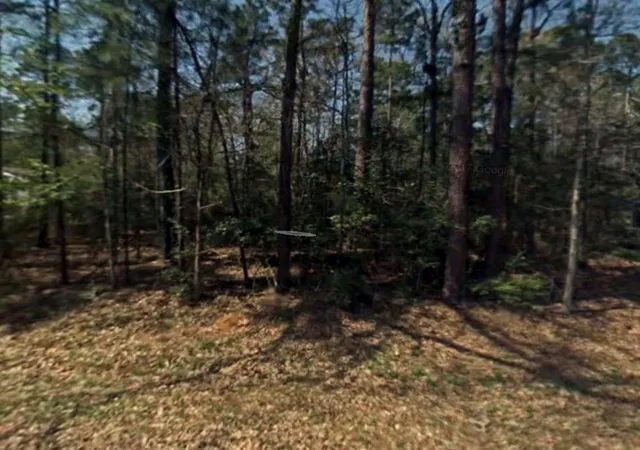 Photo 1 of Land for sale at 0 Rosemary Ln, Livingston, TX 77351 | MLS# 73392082 | Listing updated on 2026-09-06