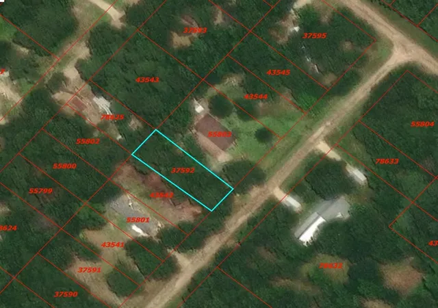 Photo 3 of Land for sale at 0 Rosemary Ln, Livingston, TX 77351 | MLS# 73392082 | Listing updated on 2026-09-06