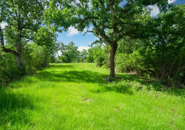 Photo 2 of Land for sale at 6443 Us Hwy 79 W, Buffalo, TX 75831 | MLS# 97831063 | Listing updated on 2026-04-22