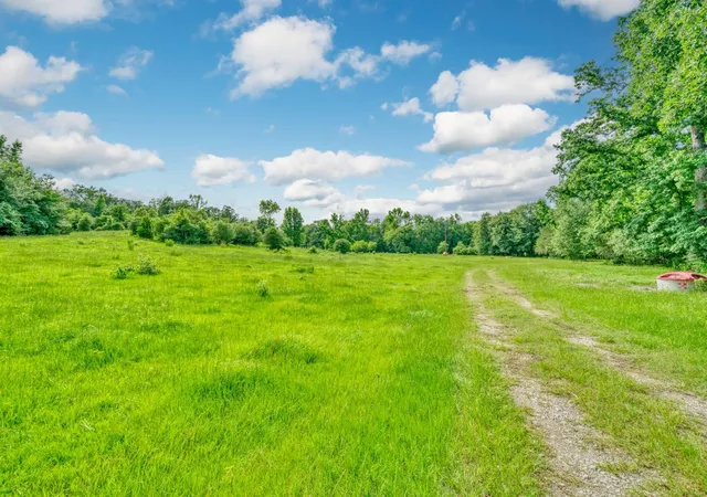 Photo 3 of Land for sale at 6443 US Hwy 79 W, Buffalo, TX 75831 | MLS# 97831063 | Listing updated on 2026-04-22