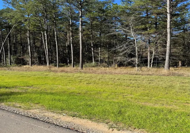 4th image of 511 Queen Anne Way, Huntsville, TX 77320 | MLS# 31110454