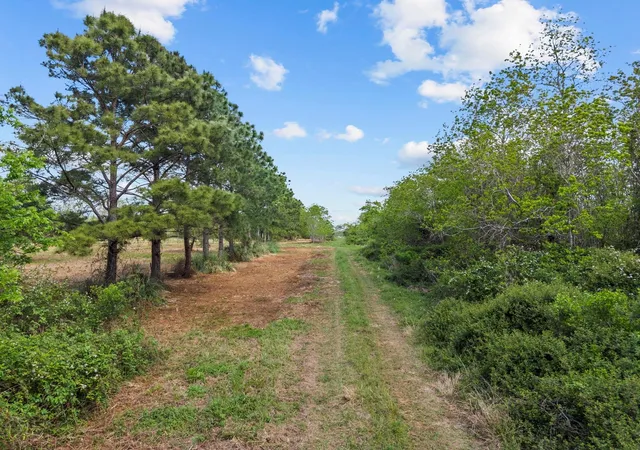 Photo 2 of Land for sale at 4700 Starboard Ln, Dickinson, TX 77539 | MLS# 57948005 | Listing updated on 2026-07-08