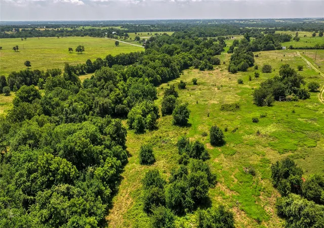 Photo 3 of Land for sale at Tract 1 Randermann Rd, Brenham, TX 77833 | MLS# 94801344 | Listing updated on 2026-09-17