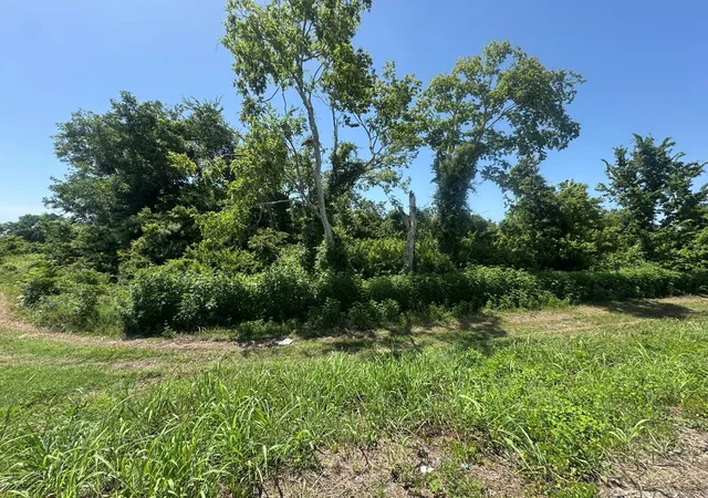 Land for sale at Tbd E US Hwy 59 Feeder, Hungerford, TX 77448 | MLS# 89011552