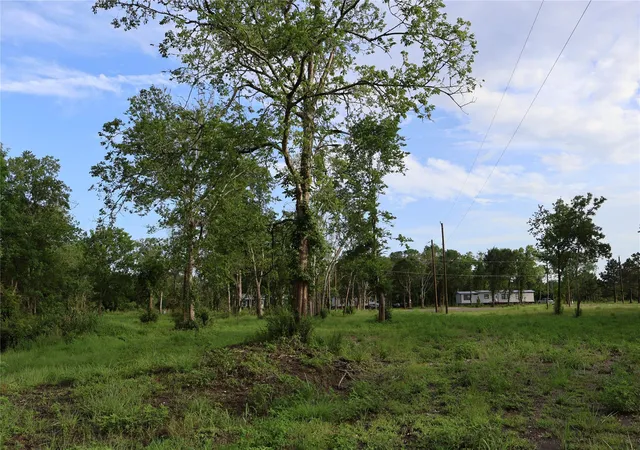 Photo 2 of Land for sale at 479 Road 48619, Dayton, TX 77535 | MLS# 89494816 | Listing updated on 2026-06-22