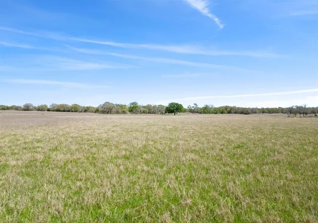 Photo 2 of Sale Pending at Tbd Cr 401, Anderson, TX 77830 | MLS# 67520805 | Listing updated on 2026-08-14